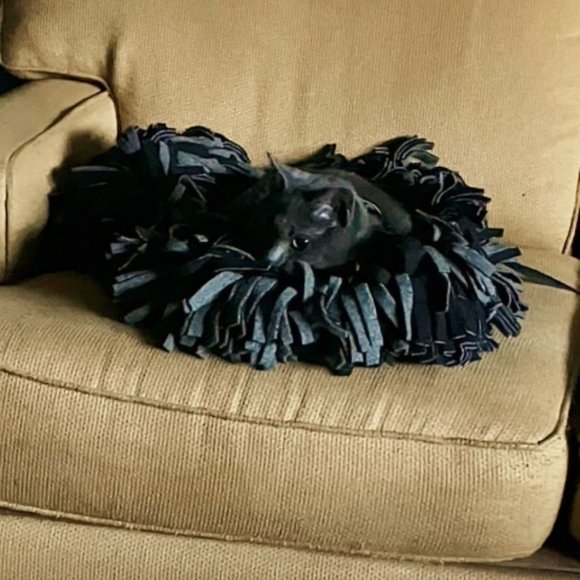 CLE Browns Colors "keep me safe and warm" fleece boa bed for cats and/or… - Picture 3 of 3